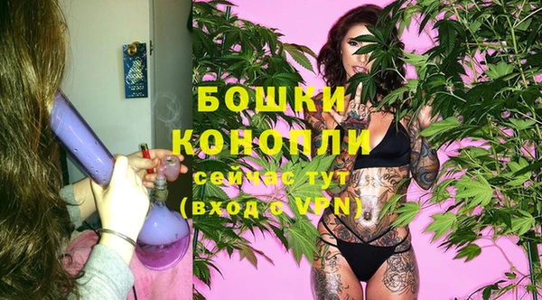 каннабис Новокубанск