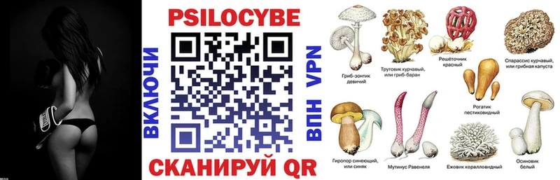 что такое   Иркутск  Галлюциногенные грибы прущие грибы 