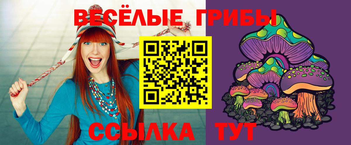 Галлюциногенные грибы Cubensis Иркутск